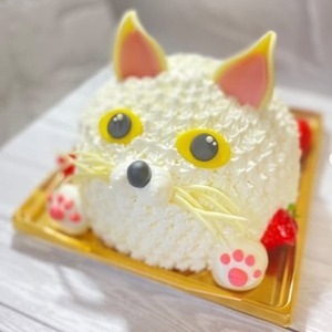 特注ケーキNO.258