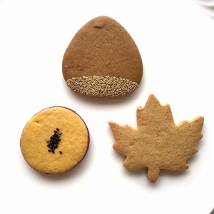 クッキー　マロン・焼き芋・メープル